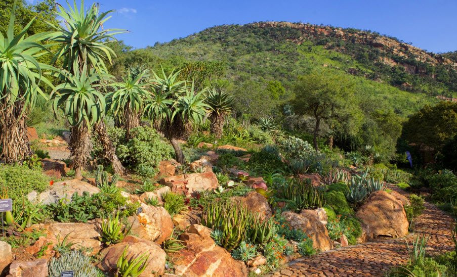 Walter Sisulu National Botanical Garden, Roodepoort, South Africa, South Africa